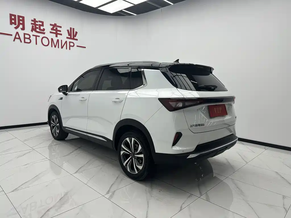 Wuling Star 2021 — фото 8
