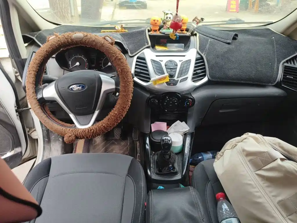 Ford Ecosport 2016 — фото 6