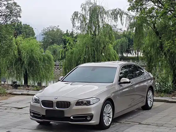 BMW 5 Series 2017
