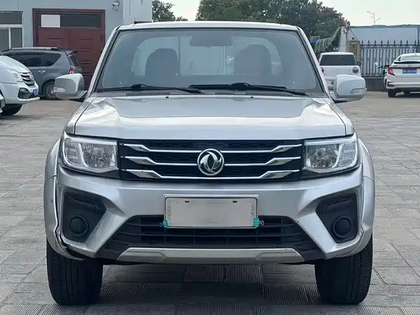 Dongfeng Ruiqi 2022