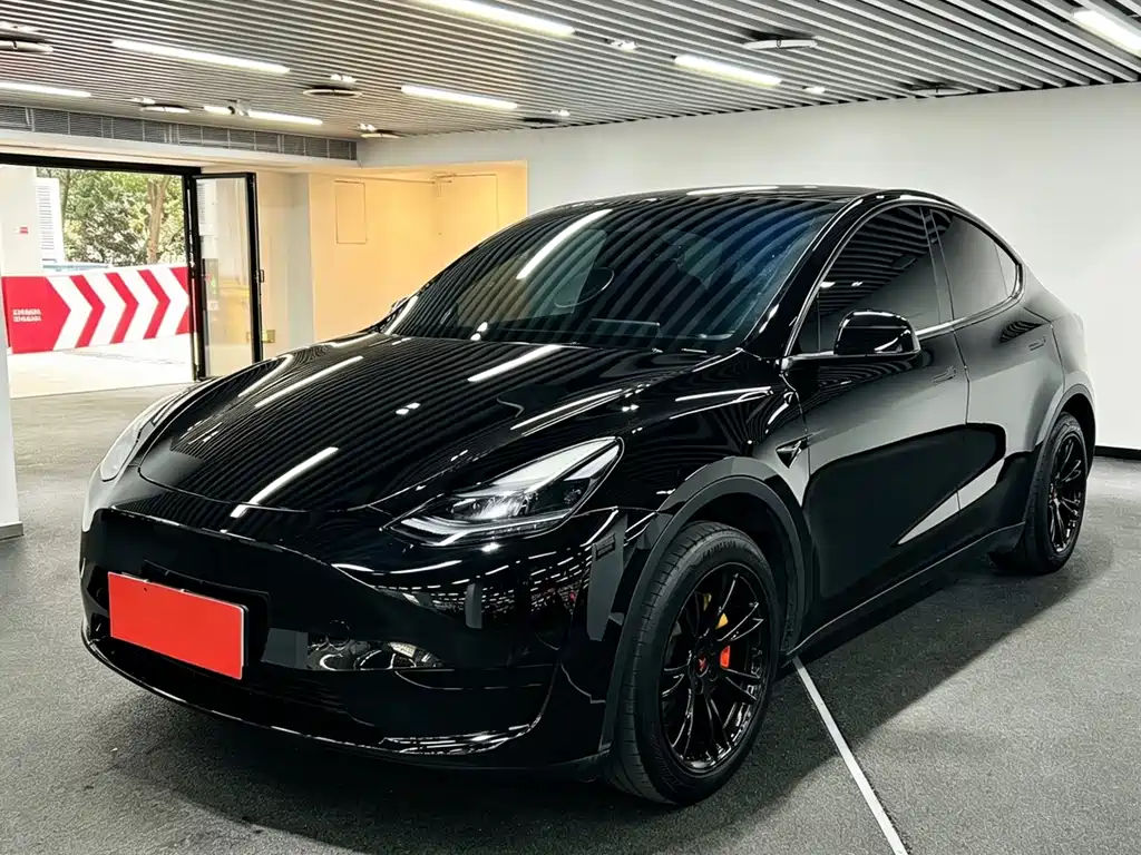 Tesla Model Y 2024 — фото 1