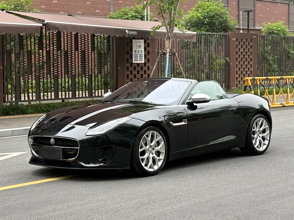 Jaguar F-TYPE 2019 — фото 19