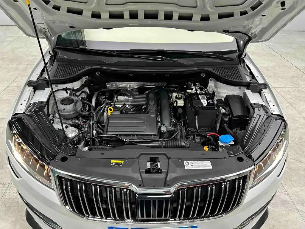 Skoda Karoq 2024 — фото 21