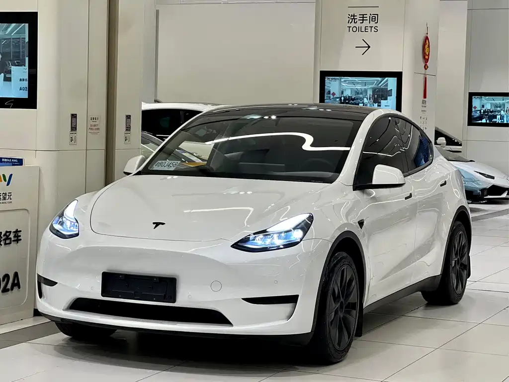 Tesla Model Y 2024 — фото 1