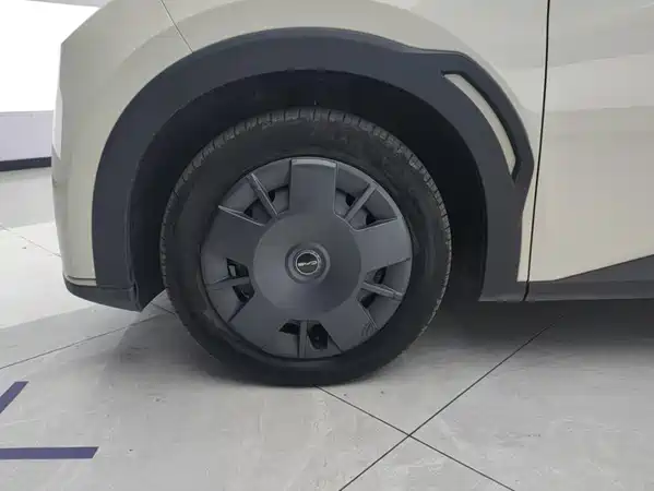 BYD Seagull 2024