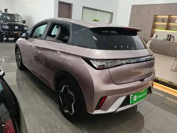 BYD Dolphin 2022