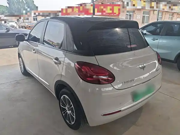 Wuling Bingo 2024