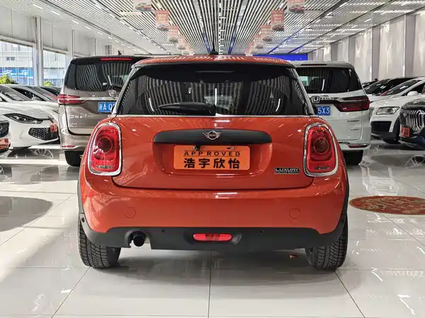 MINI MINI 2018