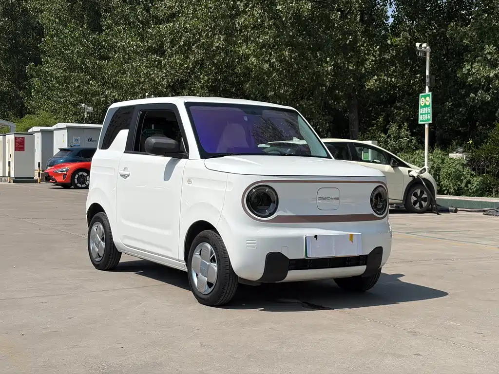 Galaxy Panda 2025