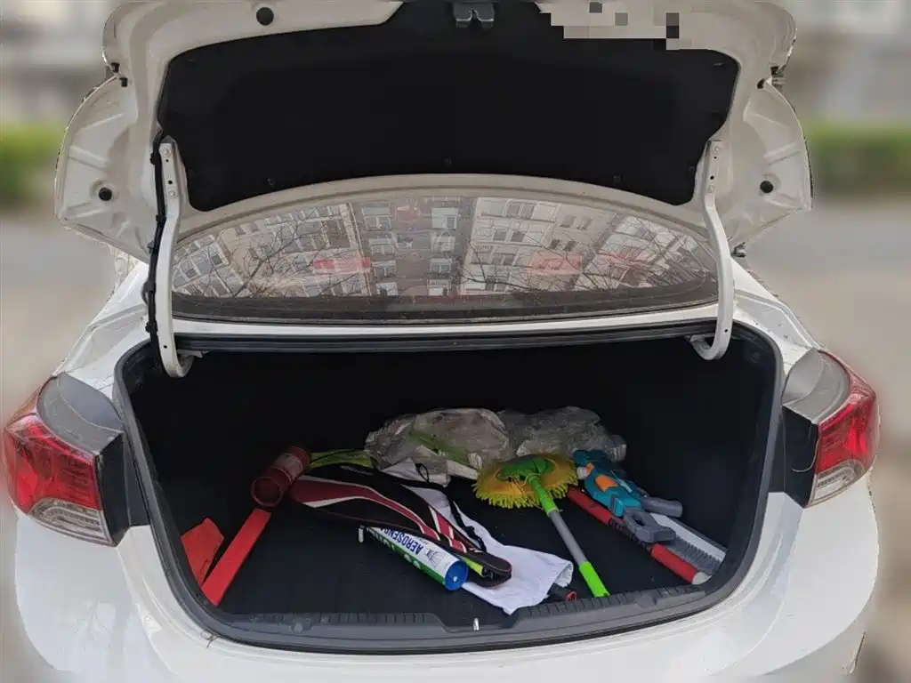 Hyundai Elantra Langdong 2015 — фото 10
