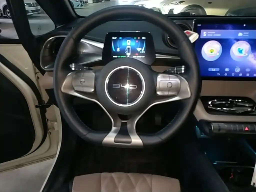 BYD Dolphin 2023 — фото 11