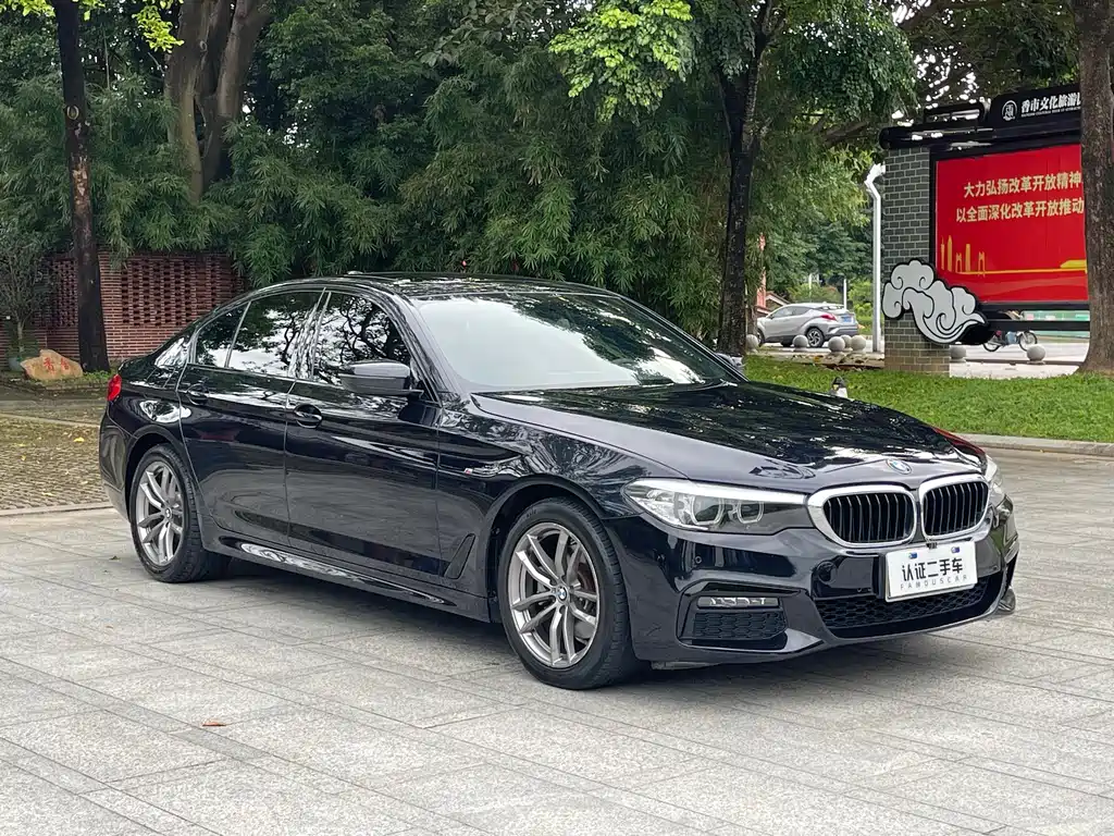 BMW 5 Series 2019