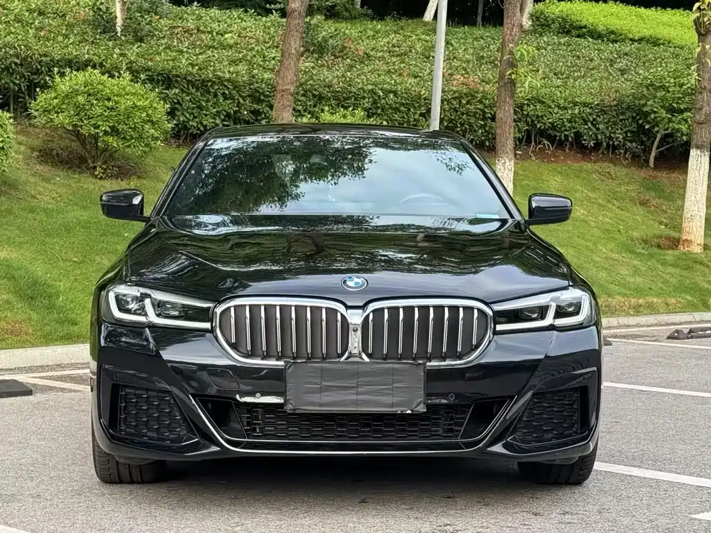 BMW 5 Series 2022