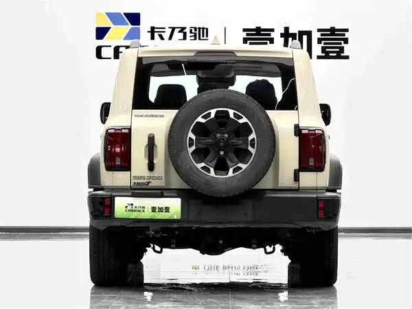 Tank 300 New Energy 2025