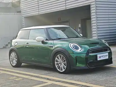 MINI MINI 2021