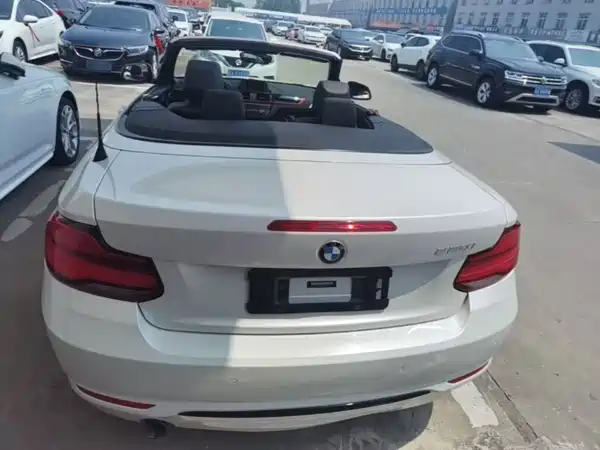 BMW 2 Series 2018