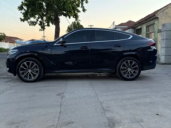 BMW X6 2022