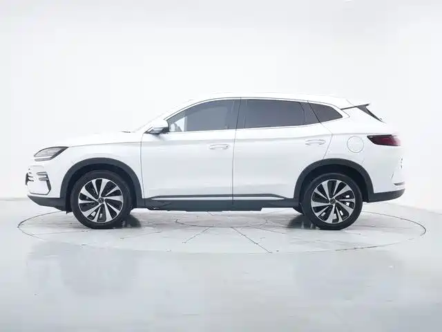 BYD PLUS New Energy 2023 — фото 2