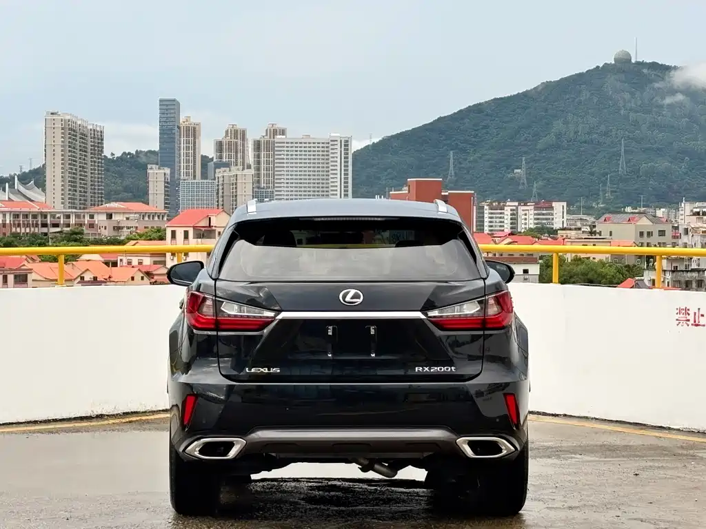 Lexus RX 2017 — фото 11
