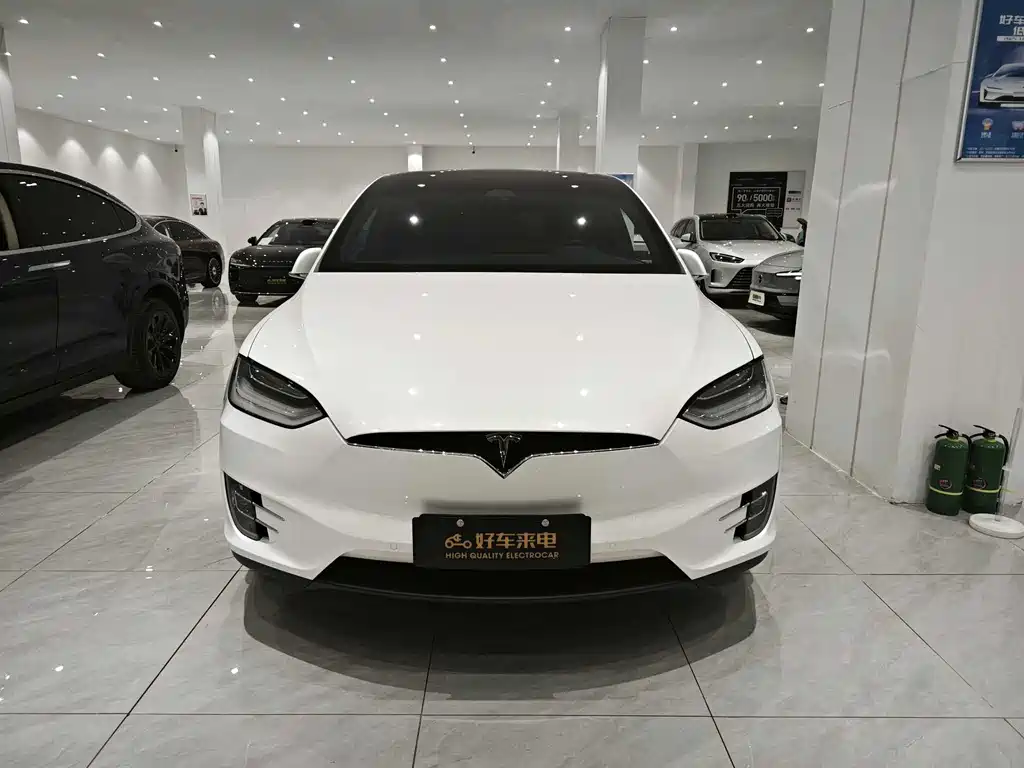 Tesla Model X 2020 — фото 2