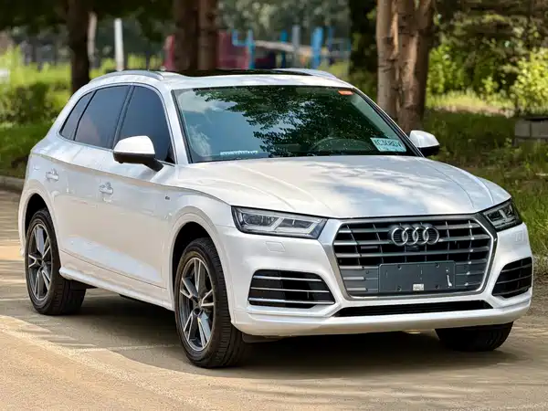 Audi Q5L 2019