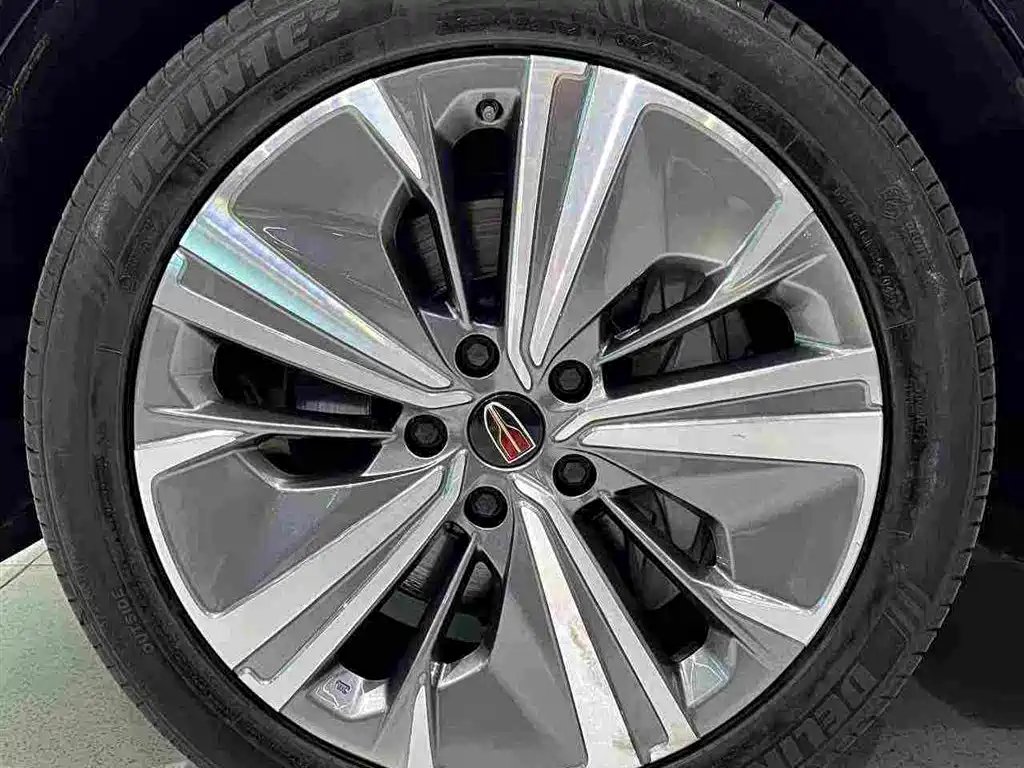 Hongqi E-HS9 2022 — фото 21