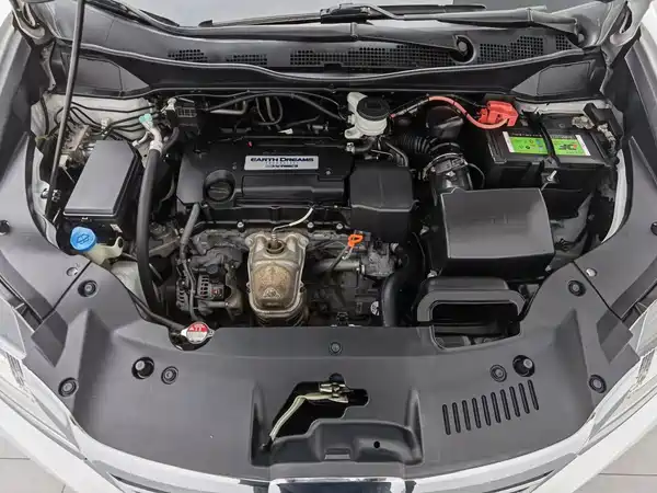 Honda Elysion 2018
