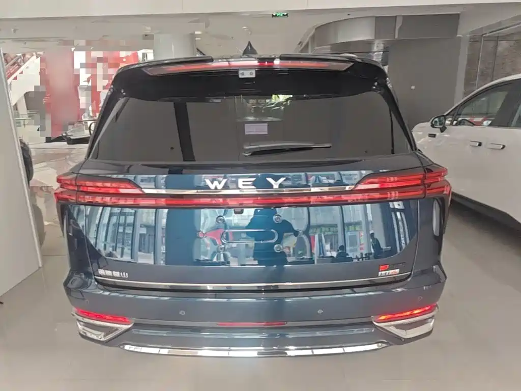 Wey Lanshan 2024