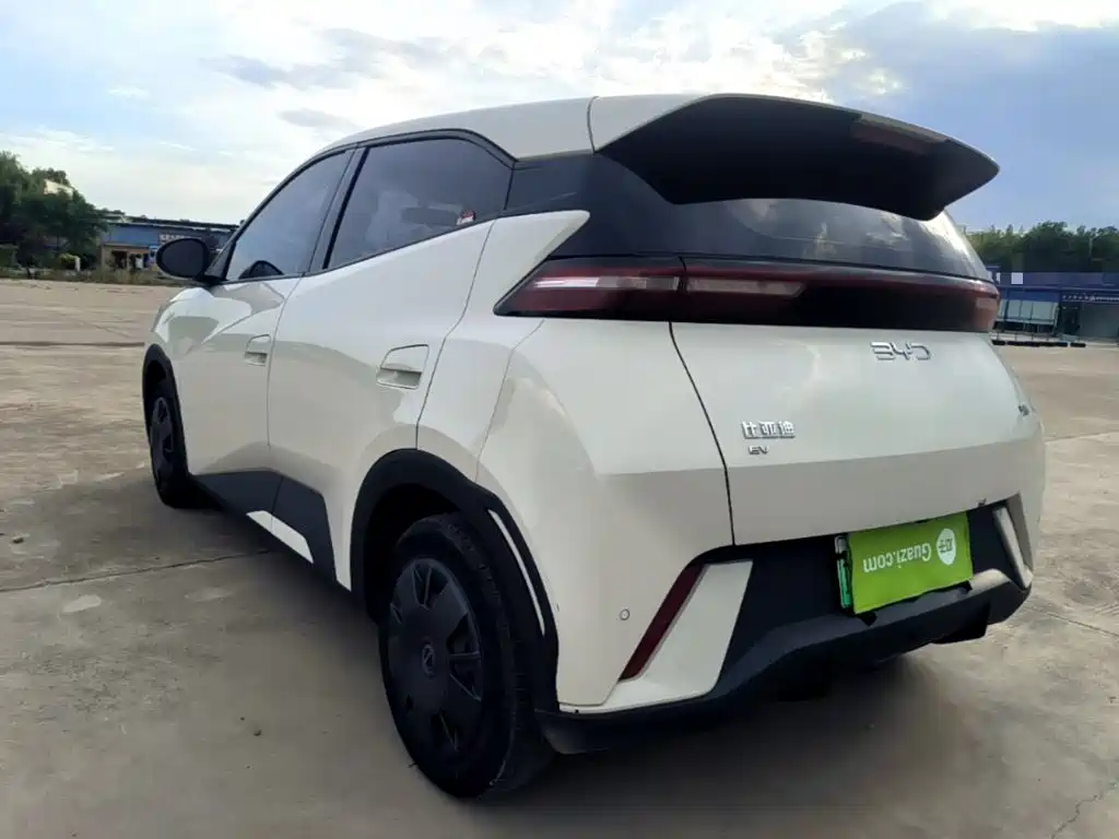BYD Seagull 2024
