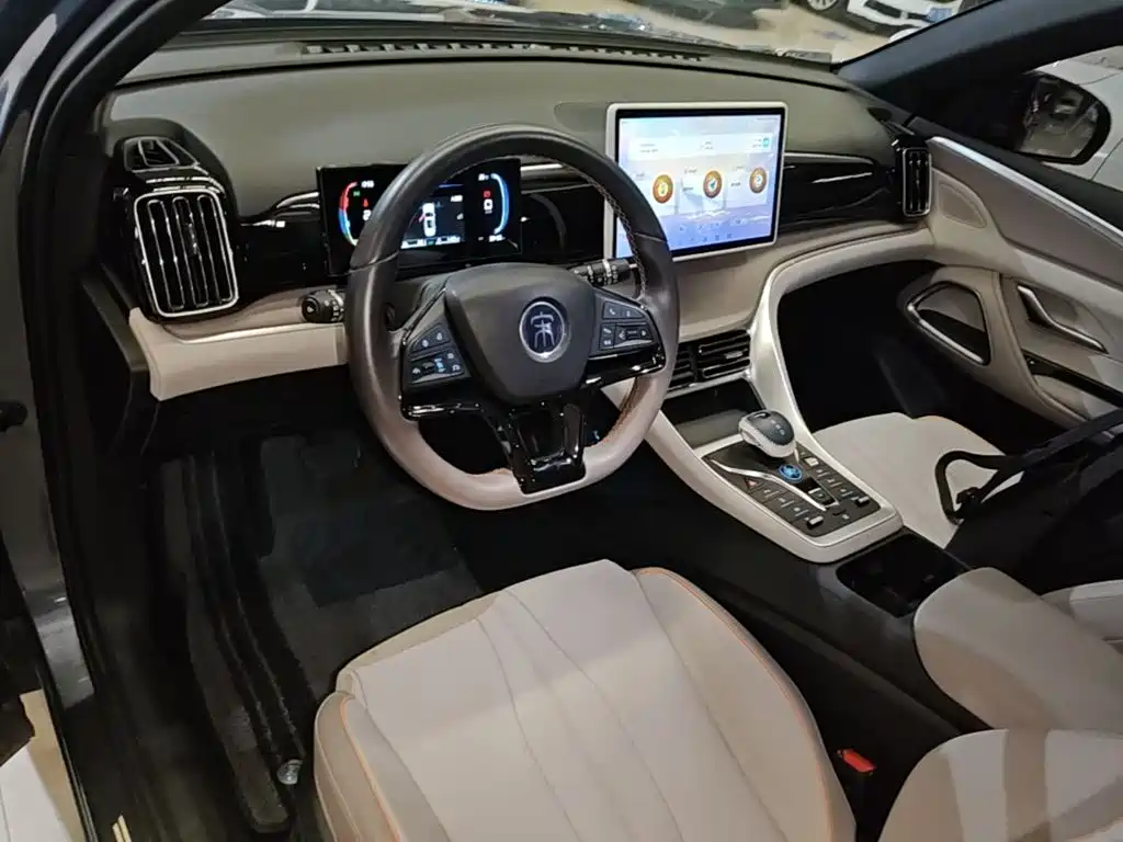 BYD Song Pro New Energy 2023 — фото 10