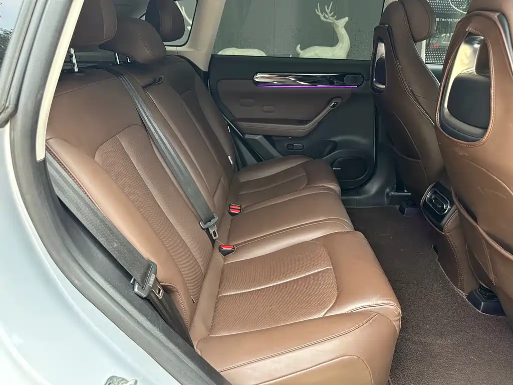 Leapmotor C11 2023 — фото 18