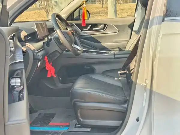 Chery Fengyun T9 2024