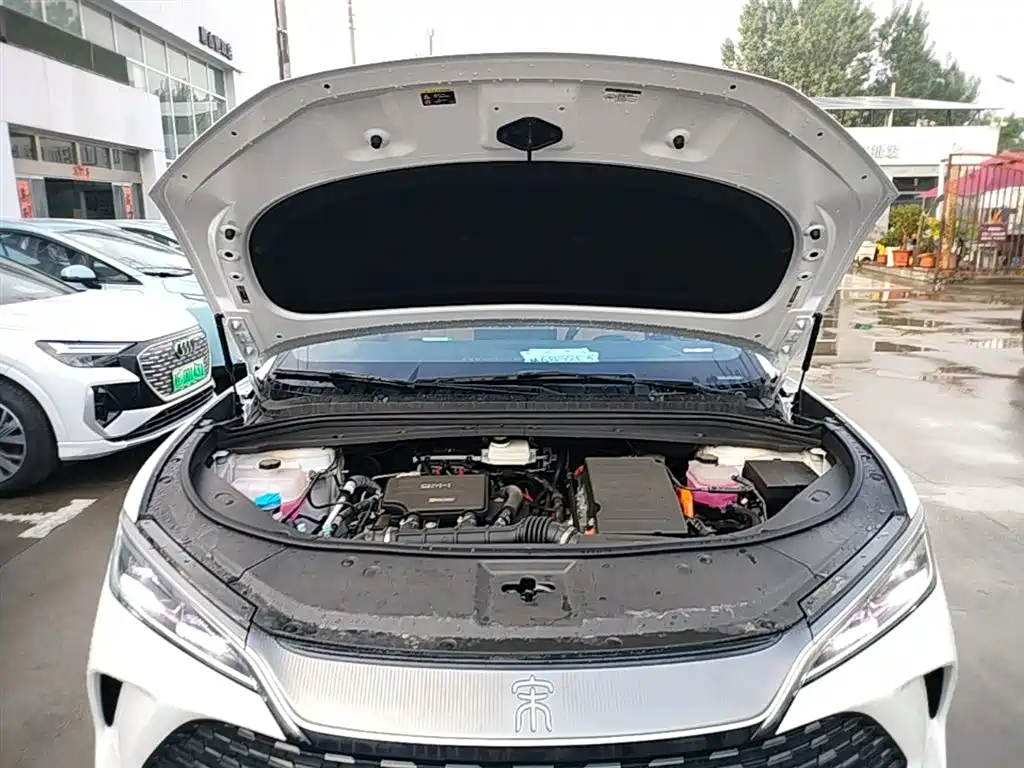 BYD L DM-i 2026 — фото 20