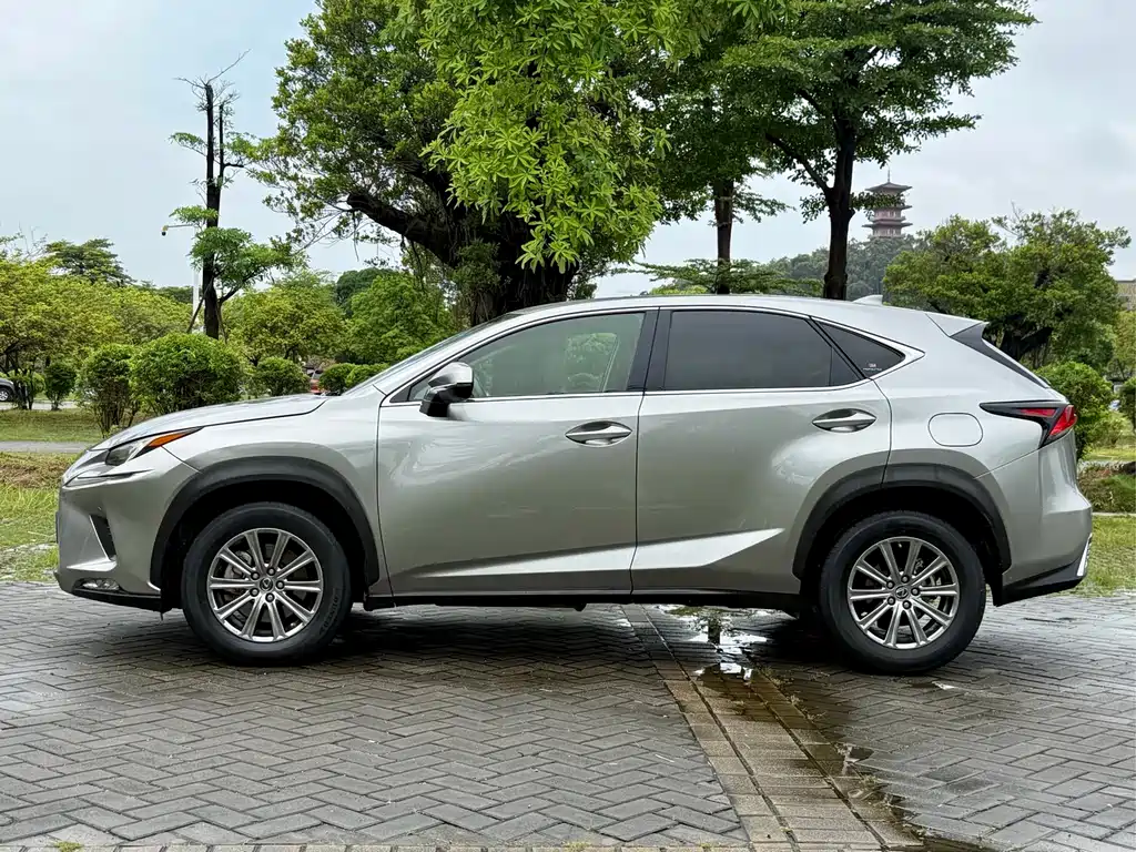 Lexus NX 2020 — фото 14