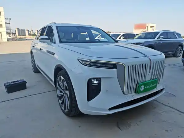 Hongqi E-HS9 2022
