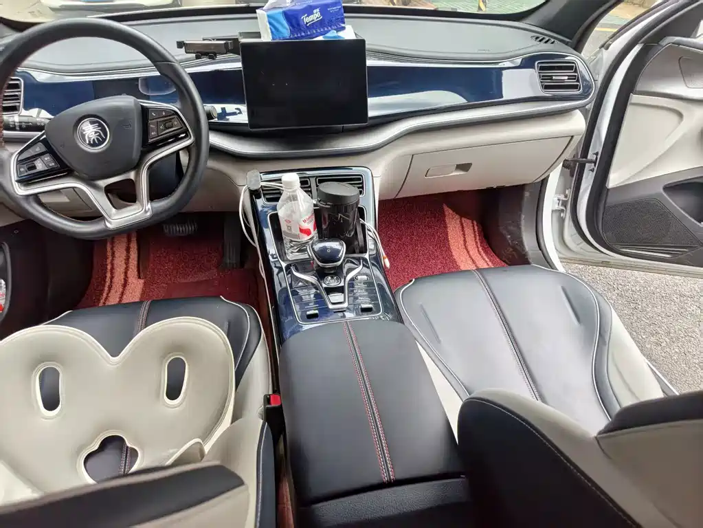 BYD Qin PLUS 2022 — фото 13