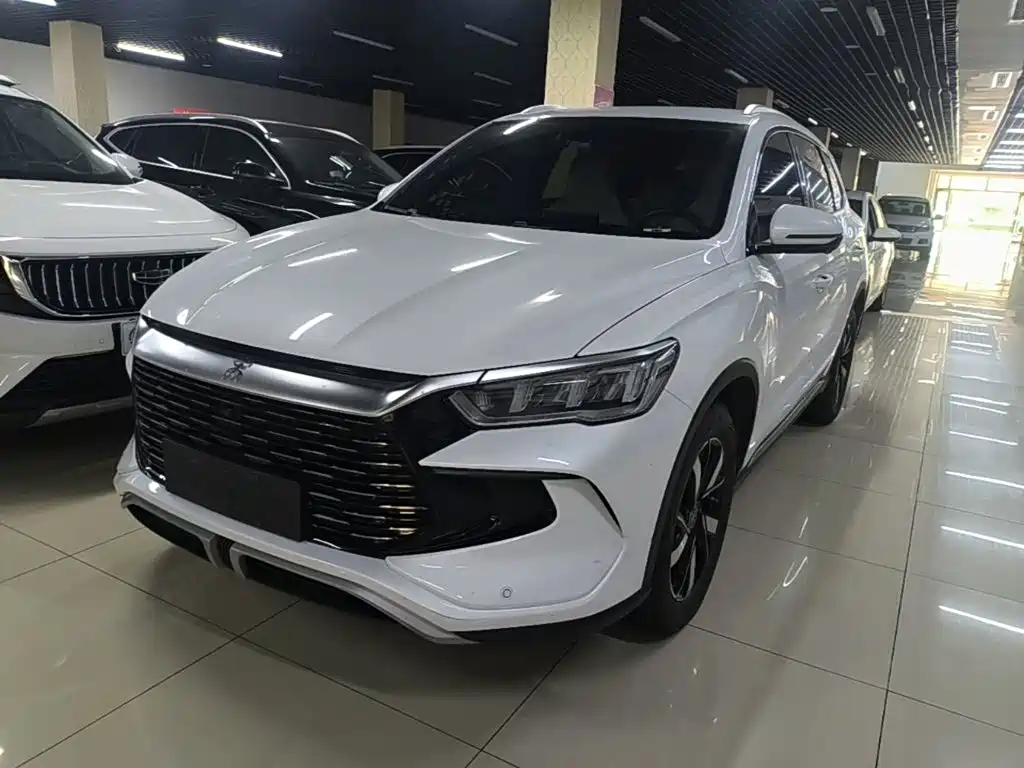 BYD Song Pro New Energy 2024 — фото 1