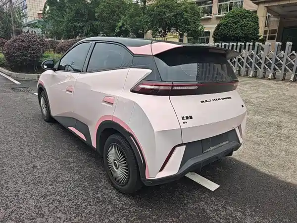 BYD Seagull 2024