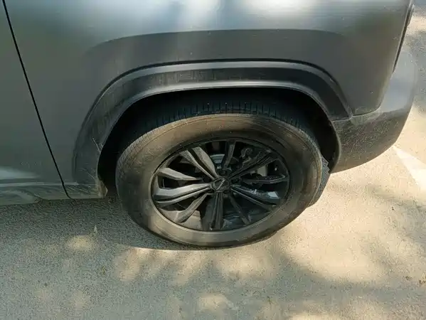 Haval Raptors New Energy 2024