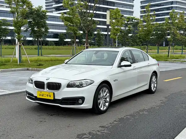 BMW 5 Series 2014