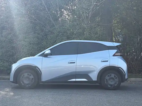 BYD Seagull 2024