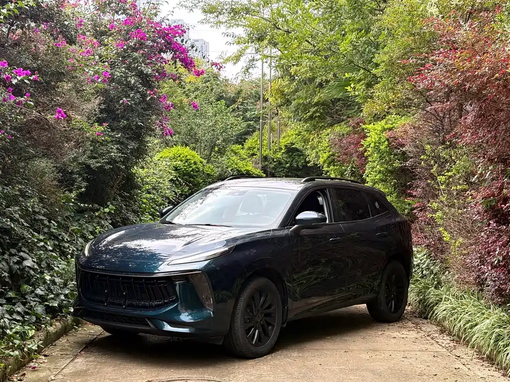 Dongfeng Fengxing T5 EVO 2021 — фото 1