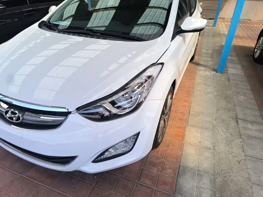 Hyundai Elantra Langdong 2015 — фото 24