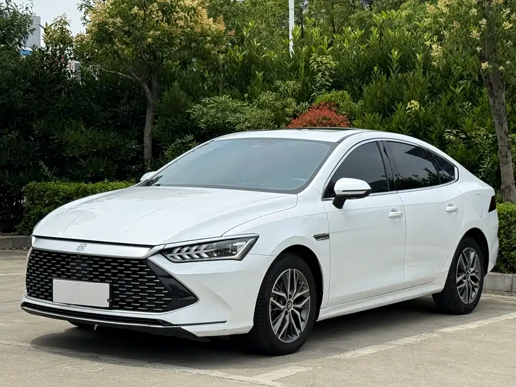 BYD Qin PLUS 2023 — фото 1