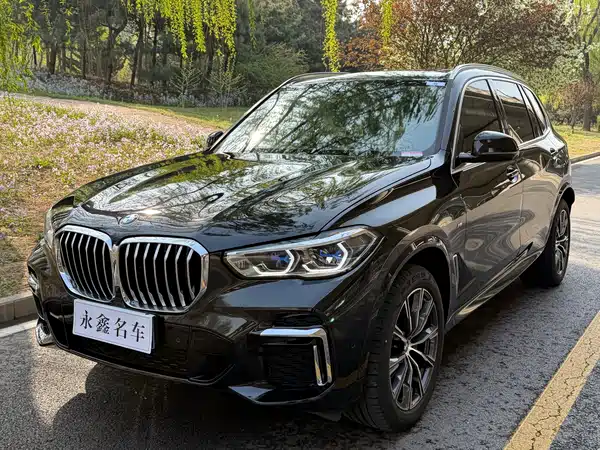 BMW X5 2022