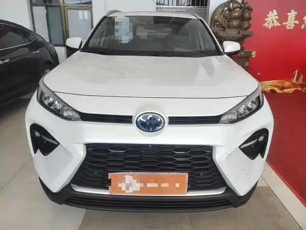 Toyota Wildlander 2020