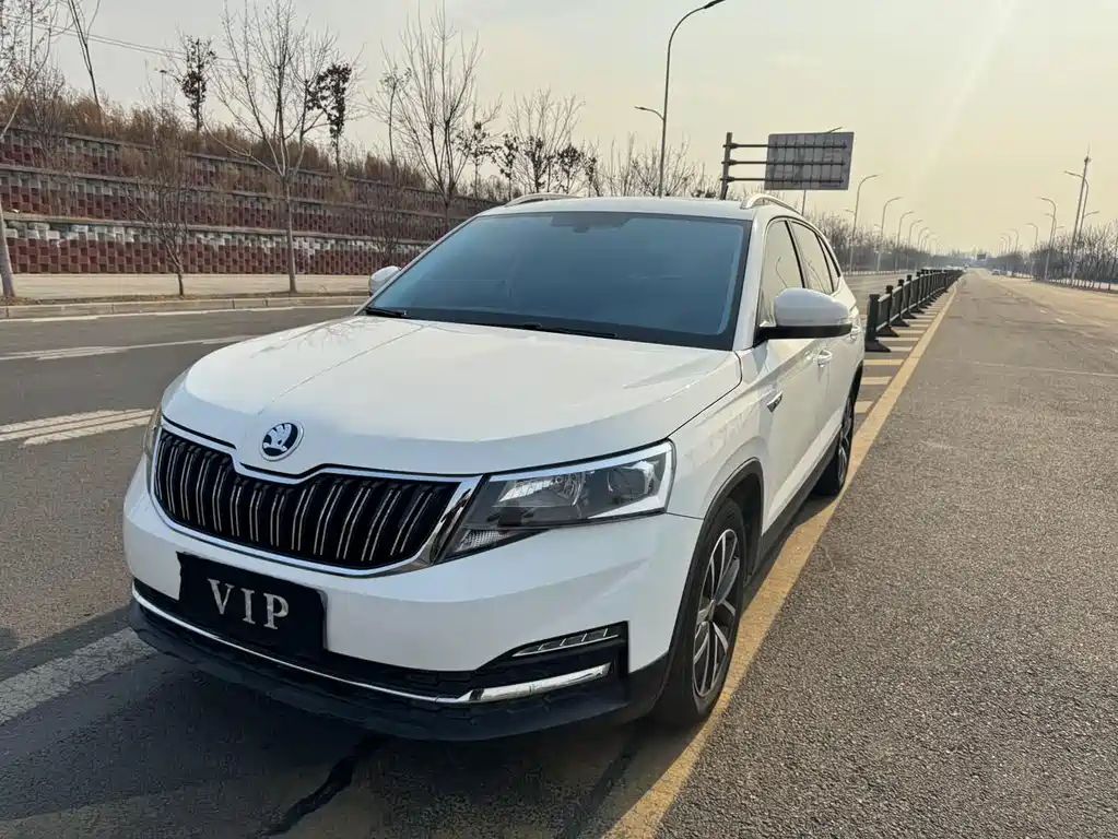Skoda Kamiq 2022 — фото 1