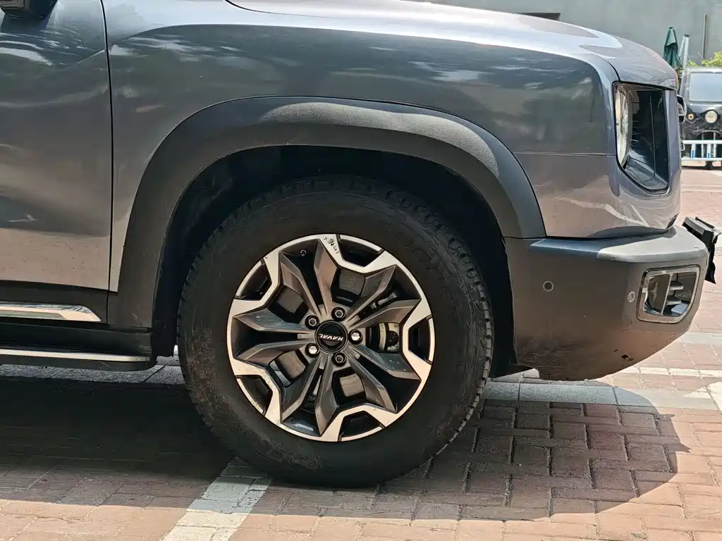Haval Big Dog 2022 — фото 4