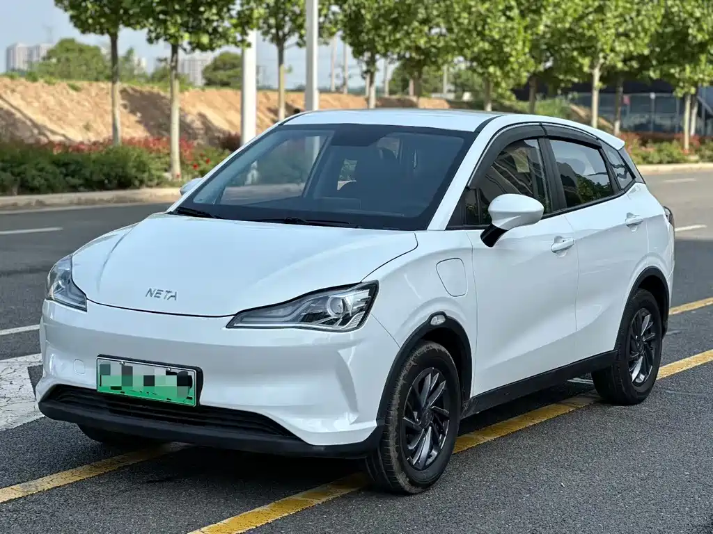 Neta V 2021