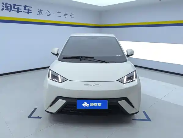 BYD Seagull 2024